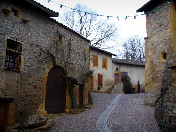 Ternand - Straten en huizen in het dorp, in het Land van Golden Stone (Beaujolais)