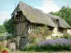 Thatched Cottage Route - Half-timbered cottage surrounded by flowers; in the heart of Vernier marsh, in the Norman Seine River Meanders Regional Nature Park