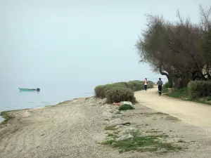 Thau lake - Spa town of Balaruc-les-Bains: promenade along the Thau lake