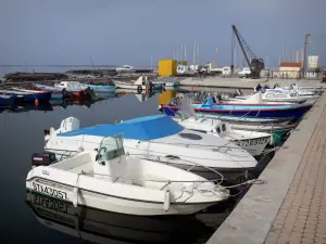 Thau lake - Boats of the port of Bouzigues and the Thau lake