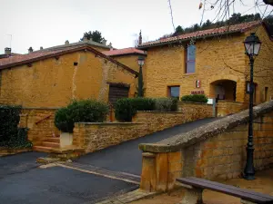 Theizé - Mairie, maisons du village, rue, lampadaires et banc, dans le Pays des Pierres Dorées (Pays Beaujolais)