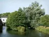 Thiérache - Oise valley: River Oise and trees