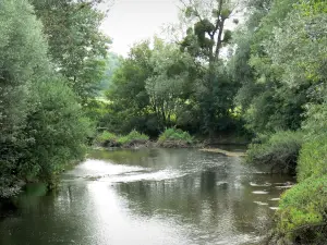 Thiérache - Vallée de l'Oise : rivière Oise bordée d'arbres
