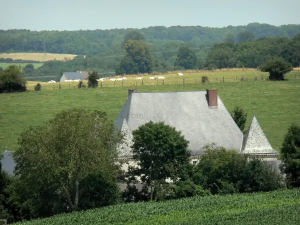 Thiérache ardenesa - Vista del techo de las MAIPAS granja fortificada (casa fortificada situada en la localidad de Pérez) y el bosque de las Ardenas, en el Parc Naturel Régional des Ardennes