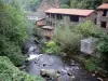 Thiers - Tal der Fabriken: Gebäude am Flussufer des Flusses Durolle, Bäume und Bodenbewuchs