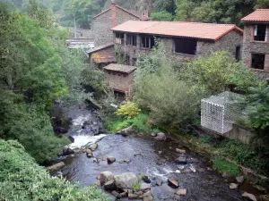 Thiers - Valley Mills: edificios a lo largo del río, Durolle árboles y la vegetación