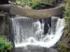 Thiers - Tal der Fabriken, der Creux de l'Enfer: Wasserfall der Durolle; im Regionalen Naturpark Livradois-Forez