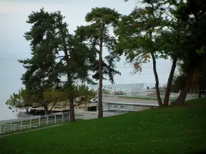 Thonon-les-Bains - Pelouse, arbres et plage de Thonon-les-Bains