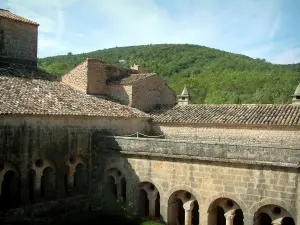 Thoronet abbey - Cistercian abbey of Provençal Romanesque style: view of the cloister and the neighboring hill covered with trees