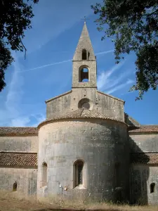 Thoronet abbey - Cistercian abbey of Provençal Romanesque style: branches of trees in foreground and church