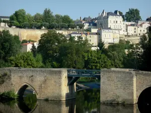 Thouars - Pont des Chouans (pont médiéval) sur la rivière Thouet, arbres au bord de l'eau, et façades de la ville