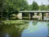 Thouet-Tal - Brücken überspannend den Fluss Thouet, in Gourgé