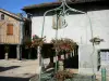Tillac - Wells en huizen van het dorp hoeken (Castelnau gewoon)
