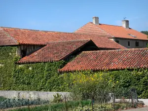 Tillac - Garden in the foreground and roofs of houses 