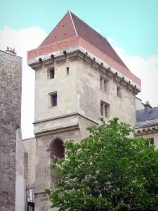 Torre di Giovanni senza paura - Torre medievale, i resti del Palazzo dei Duchi di Borgogna