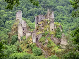 Torres de Merle - Fortaleza de la ciudad se alza sobre un afloramiento rocoso en el corazón del bosque de Xaintrie