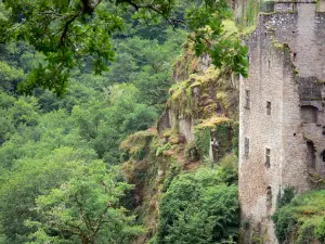 Torres de Merle - Restos medievales de Merle sitio en una zona verde