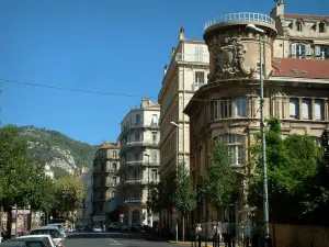 Toulon - Strasse gesäumt von Bäumen und Gebäuden der Stadt