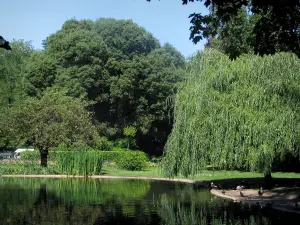 Toulouse - Jardin Royal : étang et arbres