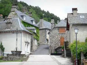 Tournemire et le château d'Anjony - Ruelle bordée de maisons