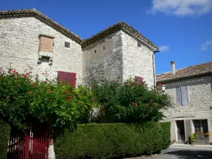 Tournon-d'Agenais - Stone houses of the bastide