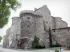 Tournon-sur-Rhône - Schloss Tournon