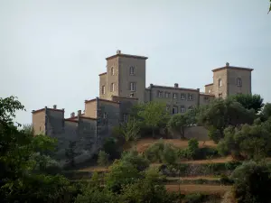 Tourrettes - Castle dominating trees and restanques