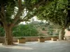 Tourrettes - Place du village agrémentée de platanes (arbres) avec vue sur le château