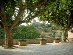 Tourrettes - Square of the village decorated with plane trees, view of the castle