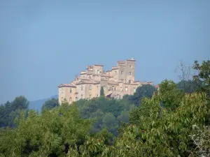 Tourrettes - Castle surrounded by trees