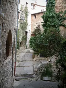 Tourrettes-sur-Loup - Malerische Gasse und ihre Häuser aus Stein, Pflanzen
