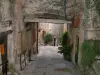 Tourrettes-sur-Loup - Vicolo ripido con il suo percorso (portico), le sue case in pietra e piante verdi