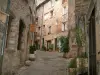 Tourrettes-sur-Loup - Ruelle pentue bordée de belles maisons en pierre et de plantes vertes