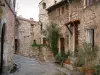 Tourrettes-sur-Loup - Ruelle ornée de maisons en pierre, d'un petit escalier, d'une lampe, de plantes et de pots de fleurs