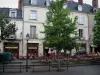 Tours - Maisons, terrasse de café et arbres de la place Plumereau