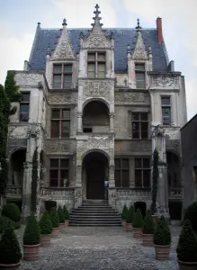 Tours - Gouin mansion of Renaissance style home to the Touraine archaeological museum and line of shrubs in jars