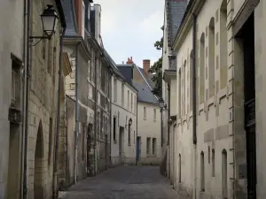 Tours - Houses of the Saint-Martin district