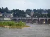 Tours - Brücke Wilson überspannt den Fluss (die Loire)