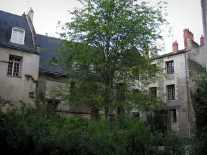 Tours - Houses of the old town, tree and shrubs