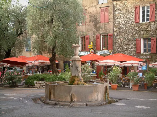 Tourtour - Fuente, olivos (árboles), terraza cafetería con sombrillas y casas de color rojo en la aldea