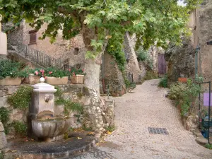 Tourtour - Small fountain, flowerpots, plane tree, sloping narrow paved street, rock and houses of the village