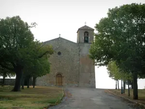 Tourtour - Met bomen omzoomde laan die naar de kerk van Saint-Denis (Romaanse architectuur)