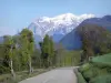 Trièves - Road lined with trees and meadows overlooking the snow-capped mountains