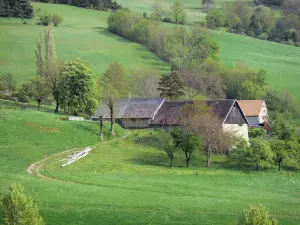 Trièves - Bauernhof umgeben von Bäumen und Viehweiden