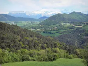 Trièves - Viehweiden, Wald und Berge