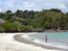 La Trinité - Strand Raisiniers (Meertraubenbäume) und Atlantischer Ozean