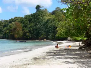 La Trinité - Plage des Raisiniers bordée d'arbres et océan Atlantique