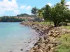 La Trinité - Meeresfront von La Trinité