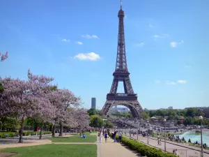 Trocadéro - Vista de la Torre Eiffel desde los jardines de Trocadero