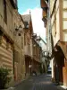 Troyes - Strada pavimentata con vecchie case e Champagne scacchiera in legno (mattoni e pietra) e l'ingresso alla Casa e strumento dei lavoratori Pensiero (Hotel Housing Mauroy il museo e biblioteca)